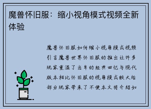 魔兽怀旧服：缩小视角模式视频全新体验
